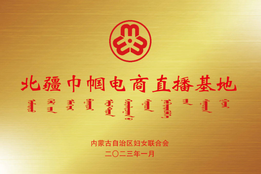 北疆巾帼电商直播基地