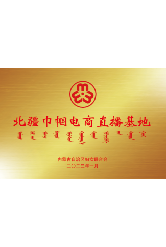 北疆巾帼电商直播基地